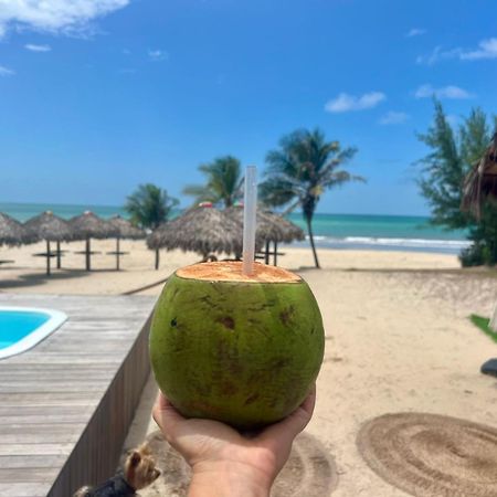 קמוסים Camozen Resort & Spa מראה חיצוני תמונה